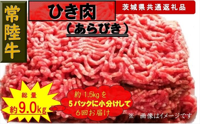 169-26-010 【6か月定期便】【常陸牛】ひき肉（あらびき）約1.5kg【定期便】計6回 総量約9kg（茨城県共通返礼品）【 常陸牛 茨城県 日立市 】