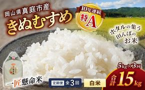 ＜定期便全3回＞ 令和8年産 真庭市産きぬむすめ 白米 5kg×3回（配送タイミングを指定できます） / お米 国産 岡山県 米 きぬむすめ 人気 ブランド 2026年産 【tkns-tkb013】