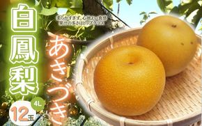  白鳳梨(あきづき)4L 12玉 ※お届けは9月上旬から9月中旬頃の予定です【hkns0002】