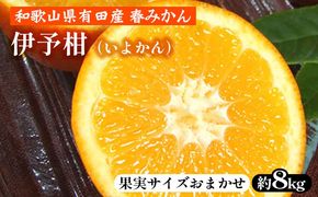 伊予柑（いよかん）［約8kg］和歌山県有田産 春みかん【果実サイズおまかせ】 ｜ 和歌山県産 柑橘 フルーツ 紀伊国屋文左衛門本舗