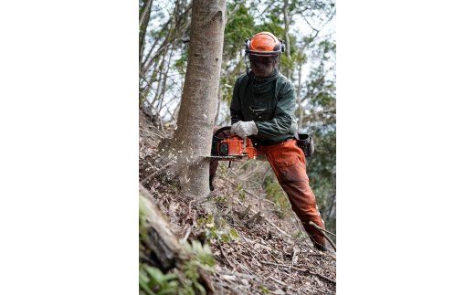 森のちから【五名の 薪 】20kg×30箱(配送不可:北海道・沖縄県・離島地域) キャンプ キャンプ用品 アウトドア 燃料 着火剤 雑貨 日用品 薪ストーブ 暖炉 焚火 ピザ釜 BBQ キャンプファイヤー コナラ クヌギ カシ 