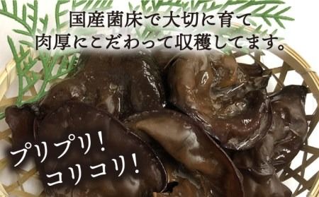 乾燥 肉厚 国産 きくらげ ＋ 乾燥 黄金色 しいたけ 各2袋セット 糸島市 / きのこファーム [AFC006] 乾燥シイタケ キクラゲ 乾燥木耳 国産 干ししいたけ 干し椎