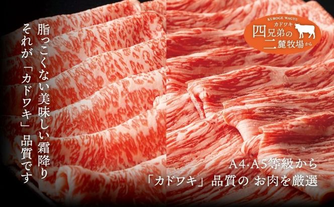 A4･A5「二麓（にろく）霜降り」黒毛和牛（大判）赤身スライス（モモ肉）＆ローススライス 計500g（各250g×2）ニセコ連峰と鈴鹿山脈、二つの麓（ふもと）で育てた脂の質にこだわった美味しい霜降りをリーズナブルに│牛肉 国産牛 ブランド牛 冷凍便 年末年始 お正月 焼肉 しゃぶしゃぶ すき焼き 三重県 四日市市 ふるさと納税