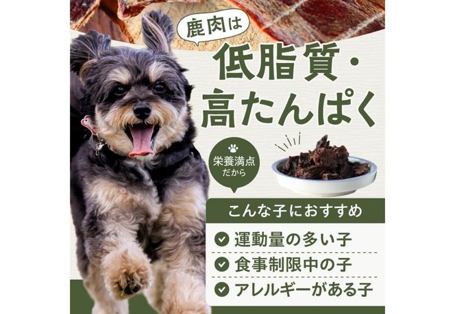 Fuji鹿ジャーキー堪能セット　 ペットフード 無添加 手作り 鹿肉 ジャーキー ふりかけ 国産 ご褒美 ごはん おやつ 山梨 富士吉田