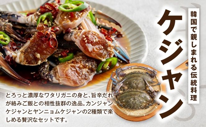 G5688 【先行予約】ケジャン食べ比べセット 300ｇ×4P（ヤンニョムケジャン2P・カンジャンケジャン2P）【2027年1月以降発送 韓国料理 韓国 キムチ ケジャン カニ 蟹】