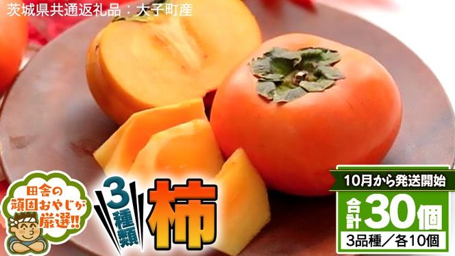 y錧΂݂炢sz` 3 Zbg y10甭Jnz i錧ʕԗiFqYj cɂ̊ł₶II t[c ʕ  [BI332-NT]