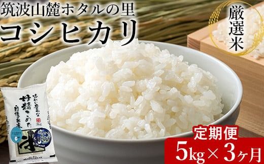 【先行予約】【定期便 3ヶ月】令和6年産 筑波山麓ホタルの里厳選米コシヒカリ5kg　透き通った大粒米　※離島への配送不可　※2024年9月上旬～2025年8月上旬頃より順次発送予定