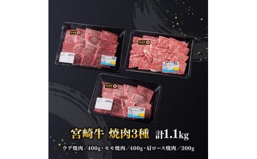 宮崎牛 焼肉 3種 計1.1kg 【 肉 牛 牛肉 国産 黒毛和牛 宮崎牛 BBQ 焼肉 カタロース モモ ウデ 】 [D00603]