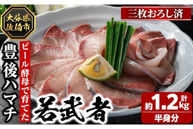 y啪szLn}` ᕐ(O낵g) n}` ͂܂ N { hg O낵 Y 啪 s YiyGS003zyQۓVYz