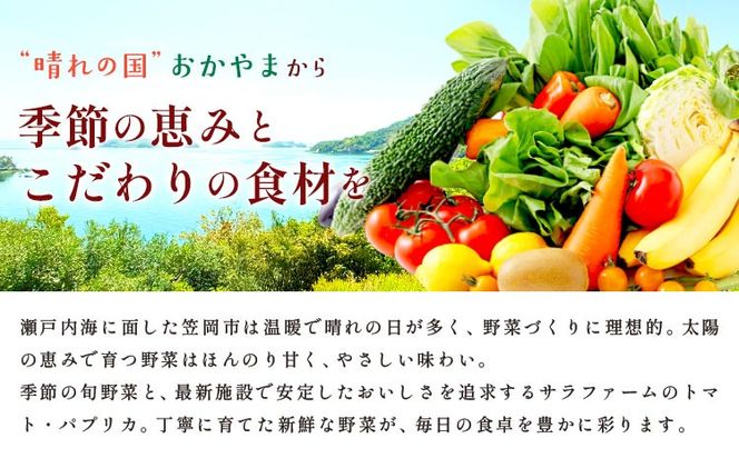 サラファームの品とふるさとフレッシュ便 旬野菜セット 野菜 果物 プラムトマト パプリカ 《30日以内に出荷予定(土日祝を除く)》 笠岡アグリセンター 野菜 岡山県 笠岡市---H-60---