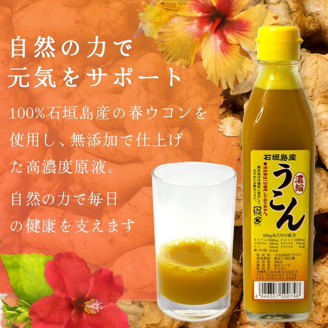 石垣島産100% 濃縮うこん 300ml×2本 CK-12