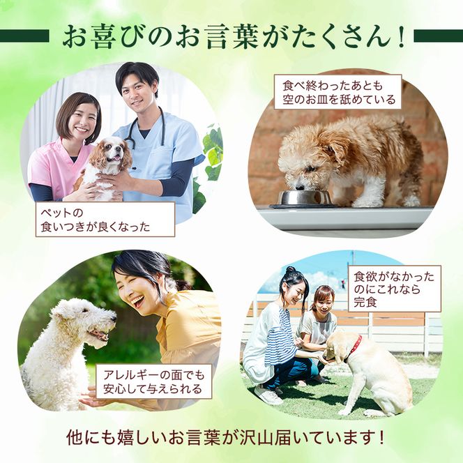 【6ヶ月定期便】小諸産 KomoroPremium 鹿肉ウエットフード（栄養補助食）10袋（100g/袋）×6カ月