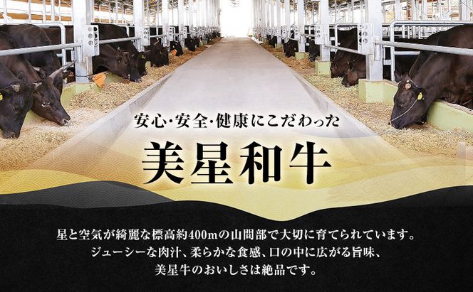 【定期便 2回 隔月で届く】美星和牛 サーロインステーキ 各回約400g（約200g×2枚） 牛肉 岡山県 里庄町 送料無料
