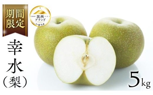 【 JA 北つくば 】 筑西ブランド 認証品 幸水 5kg 果物 2026年産 先行予約 梨 フルーツ なし ナシ 幸水梨 くだもの デザート 茨城 [AE008ci]