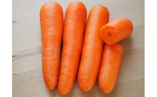 【予約受付】＜フジテレビ『どっちのふるさと？』で紹介されました！＞訳あり 隔月2回定期便 にんじん 12月・2月お届け マドンナキャロット にんじん 人参 ニンジン 野菜 やさい 国産 碧南市 健康 食品ロス削減 甘い 先行予約 旬 特産 高評価 高リピート 人気 隔月 2026年度発送 H105-170