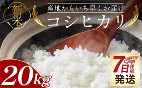 【7日程度で発送】新米コシヒカリ 20kg - 新米 お米 おこめ 国産 米 精米 ひのひかり ごはん 白米 ご飯 おにぎり おむすび 料理 調理 防災 非常食 備蓄 高知県 香南市 常温 at-0048