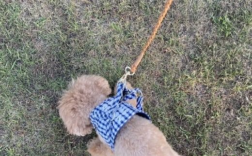 職人手作りの【本革】犬猫用リード 編み込みレザー ペット 愛犬 小型犬