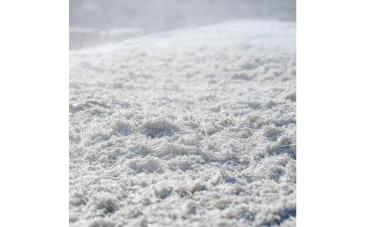 【CF-R7hbk】釜あげしらす 1kg 1キロ タレ付き 500g×2袋 シラス 小分け おじゃこ ちりめんじゃこ ふわふわ 国産 釜揚げ しらす丼 海鮮丼 ごはん ご飯 おにぎり おかず おつまみ お取り寄せ 美味しい