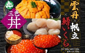 【年内配送 12月10日まで受付】3627. うに チリ産 冷凍 100g 鱒いくら醤油漬け 100g ホタテ 100g セット ウニ 雲丹 いくら イクラ ますいくら ほたて  帆立 海鮮 海鮮丼 三色丼 送料無料 北海道 弟子屈町