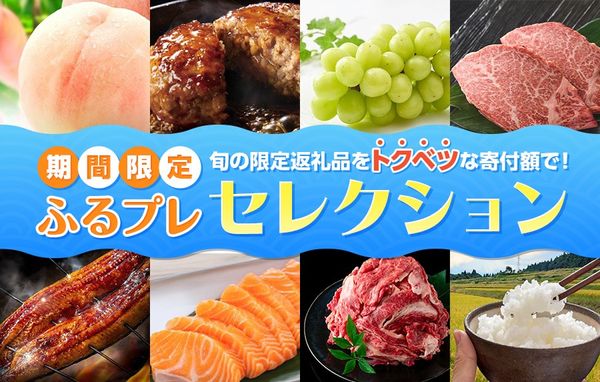 【2026年7月】ふるプレセレクション～オリジナル限定返礼品特集