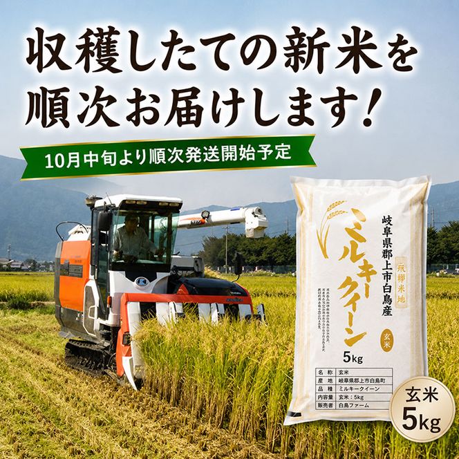 【令和7年産】特別栽培米 10kg【白米、7分ツキ】（ハツシモ）