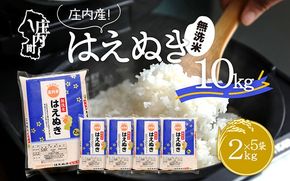 庄内産はえぬき 無洗米 10kg 2kg×5袋 令和6年産 2024年産 ブランド米【070-015A】