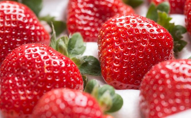 【2025年12月上旬より順次発送】 福岡産 あまおう ギフト箱（12-15粒）《築上町》【南国フルーツ株式会社】 果物 苺 いちご[ABET003]