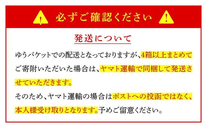【長崎本場の味】＜簡易包装＞スープ付 ちゃんぽん 30食 / 南島原市 / こじま製麺[SAZ028]