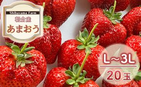いちご 朝倉市産 あまおう L～3L 20玉 イチゴ 苺 果物 デザート ＜Shibayama Farm＞ ※配送不可：離島 