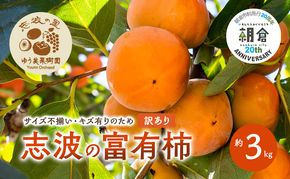2026年12月発送　訳あり 規格外品　志波の富有柿 約3kg 柿 ※配送不可：離島