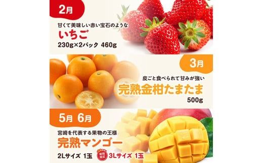 果物 ※期間限定※【6ヶ月定期便】大人気くだもの定期便Vol.1【 川南町産 くだもの いちご イチゴ きんかん マンゴー シャインマスカット ピオーネ  】☆[C11712t6]