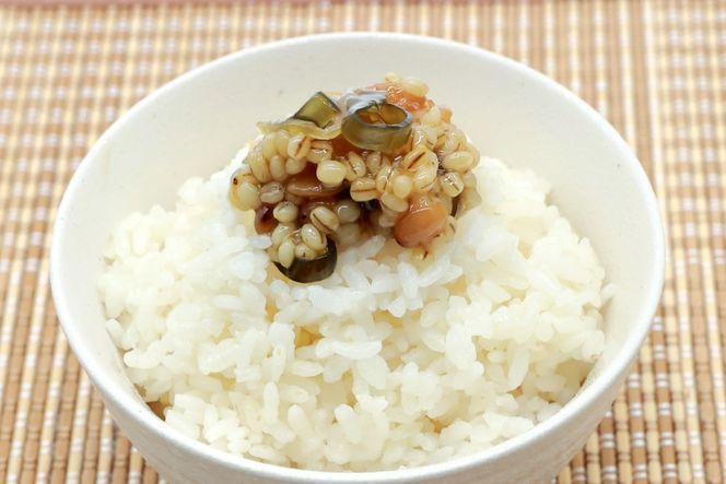 AJ300 島原 手造り 城なっとう(もろみ味噌)300g×2袋 [ ご飯のお供 味噌 みそ もろみ味噌 発酵食品 納豆 保存食 塚原食品本舗 長崎県 島原市 ]