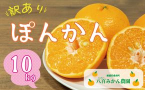 【 訳あり 】 ぽんかん 10kg 先行予約 <発送期間：1月中旬～無くなり次第終了> 八百みかん農園 の ぽんかん 10000円 家庭用 10kg 先行 事前 予約 受付 みかん 不知火 はるみ 防腐剤不使用 愛媛 産地直送 国産 農家直送 糖度 甘味 果樹園 期間限定 数量限定 特産品 ジュース 人気 限定 愛南  新鮮 果実 さわやか 風味 甘い フルーツ 果物 柑橘 蜜柑