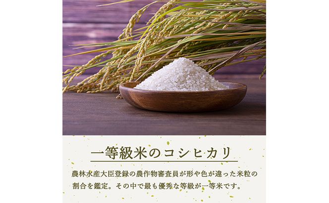 定期便 12ヶ月 ベストファーマーズ賞受賞 コシヒカリ 無洗米 2kg 無農薬 無添加 令和7年産 お米 チャック付 チャック 小分け 少量 少量パック 白米 精米 一等米 産地直送 送料無料 長野 定期 12回