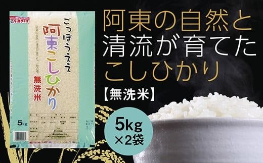 C132 阿東こしひかり（無洗米5kg×2）