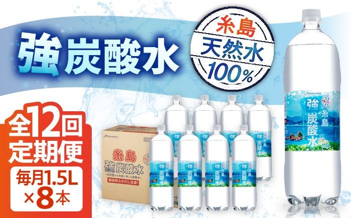 [全12回定期便]強炭酸水 1.5L×8本 糸島市 / スターナイン 炭酸水 大容量 [ARM008] 炭酸水 1.5 8本国産 炭酸 1500 ペットボトル まとめ買い 常温
