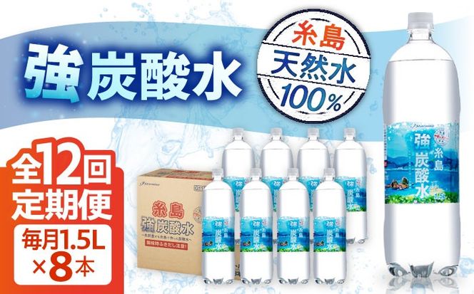 【全12回定期便】強炭酸水 1.5L×8本 糸島市 / スターナイン 炭酸水 大容量 [ARM008] 炭酸水 1.5 8本国産 炭酸 1500 ペットボトル まとめ買い 常温