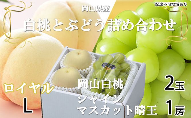 桃 ぶどう 2026年 先行予約 岡山 白桃 ロイヤル 2玉×約200g（Lサイズ、早生種・中生種）シャイン マスカット 晴王 1房約400g  詰め合わせ 岡山県産 フルーツ 
