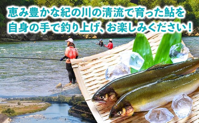 紀ノ川漁業協同組合鮎遊漁証 鮎入漁券 年間 2022年分 体験型返礼品 コト消費 釣り 鮎 あゆ アユ 遊漁券 入漁券 《7月上旬-8月末頃出荷》 紀ノ川漁業協同組合 和歌山県 紀の川市 送料無料---iwsk_gkkayuckt_af7_22_40000_1d---