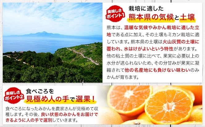 みかん 訳あり くまもとみかん 約1.5kg 約4.5kg 約9kg S-2Lサイズ サイズ混合 ご家庭用《7-14日以内に出荷予定(土日祝除く)》 訳あり みかん フルーツ サイズ混合 秋 旬 柑橘 熊本県 長洲町 熊本県産 長洲町産含む---ng_wkmkn_wx_4500_15k---