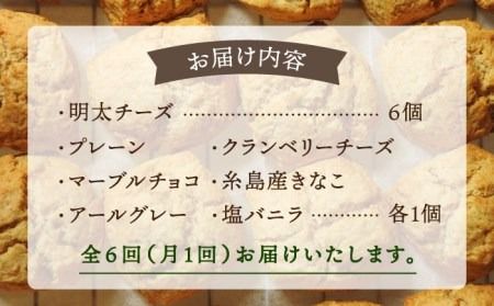 【全6回定期便】 定番 スコーン + 明太 チーズ スコーン 計 12個 セット 糸島市 / スコーン専門店キナフク 焼き菓子 焼菓子 洋菓子 スイーツ パン [AFA025]