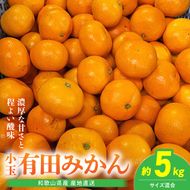 【2026年先行予約】【産地直送】和歌山県産 有田みかん 小玉 5kg_BL6173