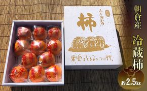 冷蔵 柿 約2.5kg 正箱入り フルーツ 果物 デザート かき カキ (有)ティース 配送不可：沖縄・離島 