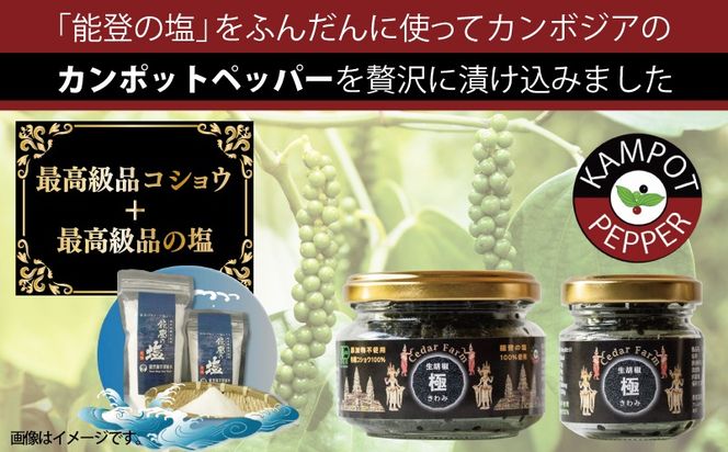 099H4173 生胡椒 極(きわみ) 60g×1本【能登の塩 コショウ こしょう カンポットペッパー スパイス カンボジア】