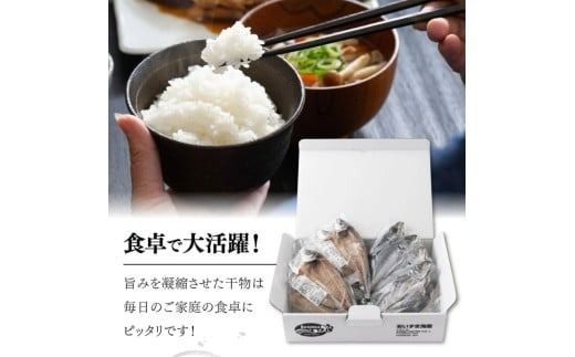 アジ 干物 定期便 トロアジの干物セット｜高知県室戸市 冷凍90日目安 偶数6回/奇数6回/毎月12回