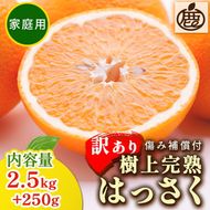 ＜4月より発送＞家庭用 樹上完熟はっさく2.5kg+250g（傷み補償分）有田の春みかん・五月八朔・さつきはっさく・木生りはっさく・きなりはっさく【光センサー選別】訳あり