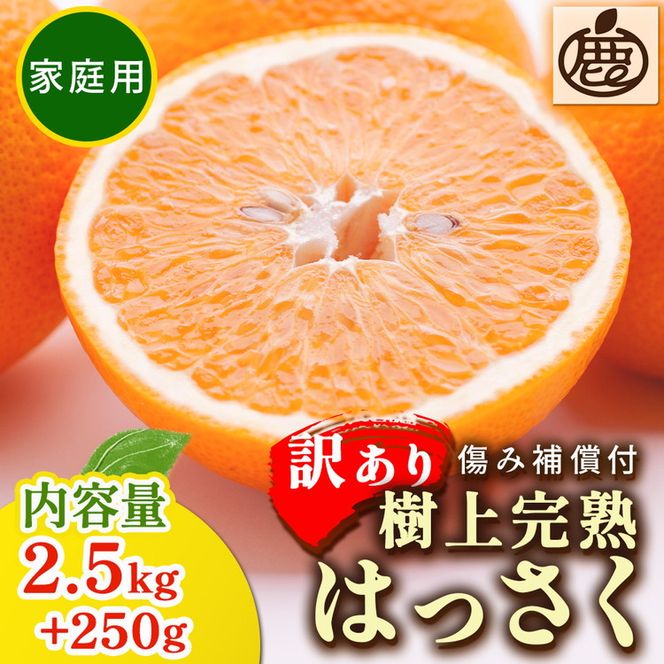 ＜4月より発送＞家庭用 樹上完熟はっさく2.5kg+250g（傷み補償分）有田の春みかん・五月八朔・さつきはっさく・木生りはっさく・きなりはっさく【光センサー選別】訳あり