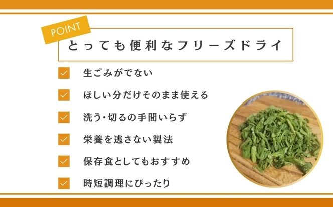 ほうれん草の“まんま”　FB051