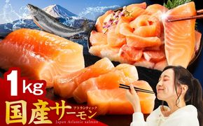 nbj0011 国産アトランティックサーモン 1kg ポーション【小分け 真空パック 訳あり サイズ不揃い 刺身 海鮮丼 さーもん 鮭 さけ シャケ しゃけ 冷凍】