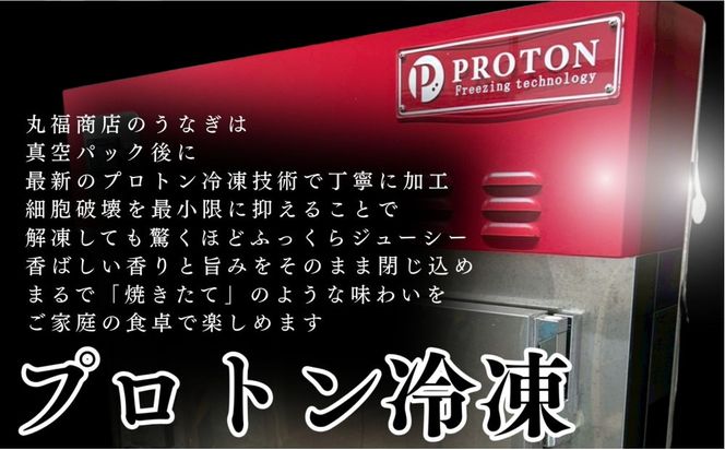 30年間継承されてきた秘伝のタレで焼き上げたうなぎの蒲焼き 312011_FZ001